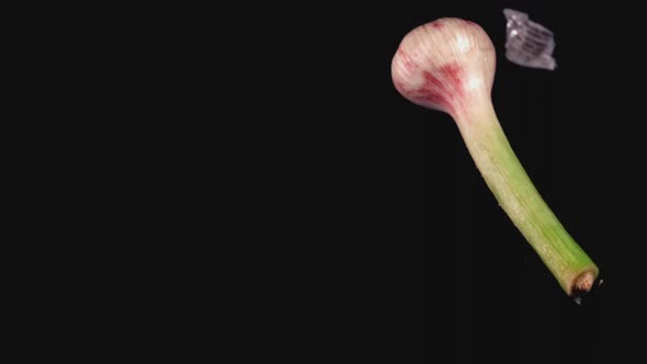 Super Slow Motion Garlic Falls on a Black Background