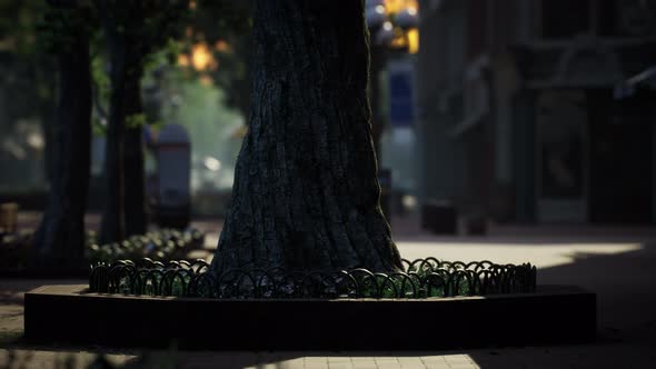 Lockdown Coronavirus Covid19 Empty Streets alt