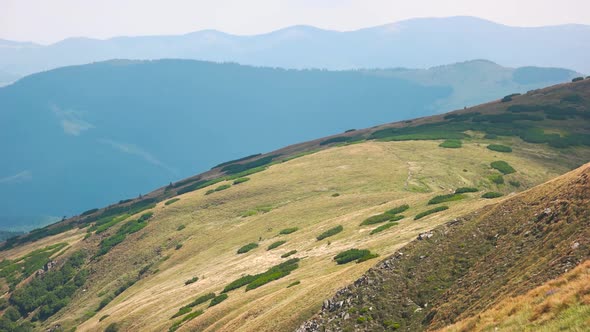 Picturesque Carpathian Mountains in Summer