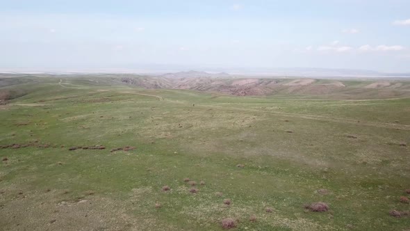 A Group of Cyclists Ride on the Green Steppe