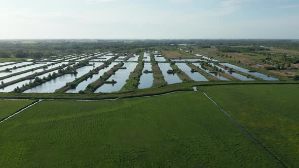 Swamps And Fields In Weerribben-Wieden National Park In Overijssel, Friesland, Netherlands. Aerial D