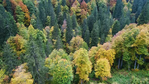 Aerial video of the Swiss alps from the Klausenpass, Switzerland during fall