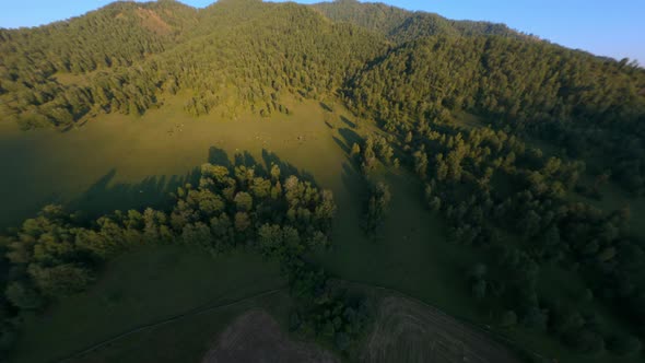 Aerial View Picturesque Panorama Evening Valley Mountain Landscape Horses Sheep Cow Grazing