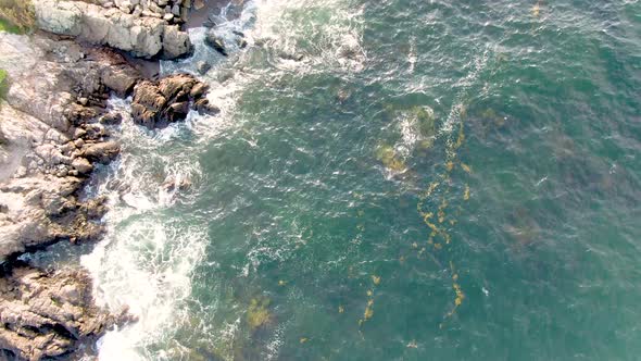 Turquoise Sea At Marblehead Harbor In Massachusetts - aerial drone shot