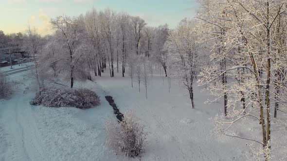 Aerial View of the Winter Park in St