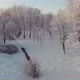 Aerial View of the Winter Park in St - VideoHive Item for Sale