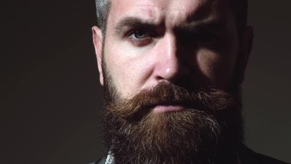 Emotions Male Face. Close-up Portrait of Serious Brutal Bearded Man on Dark Background. Confident