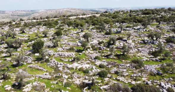 Aerial View of people admiring the landscape of the wooded hills and the paths.