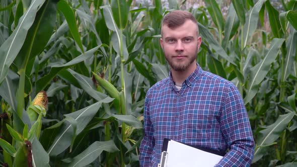 Agronomist with Notebook, Checking the Field Corn a Background of Greenery. Concept Ecology, Bio