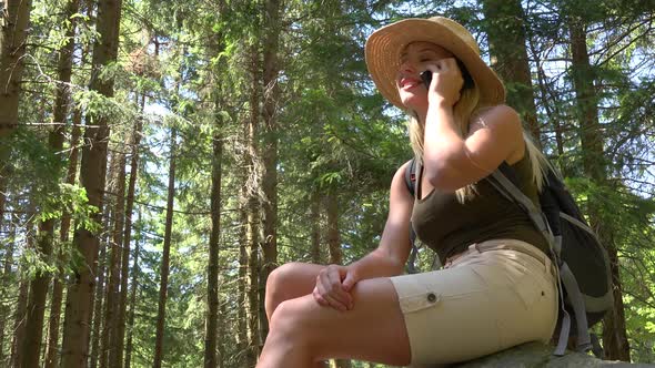 A Young Beautiful Woman Sits on a Rock in a Forest on a Sunny Day and Talks on a Smartphone