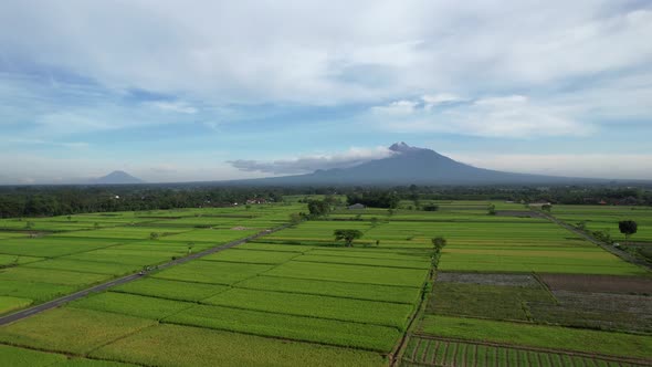 Merapi Mt Yogyakarta