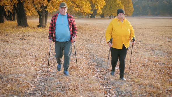 Seniors Couple Nordic Walking in Autumn Forest.