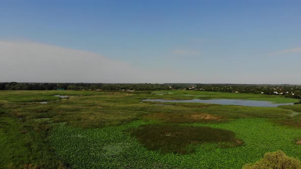 Aerial view of meadow and lotus valley.