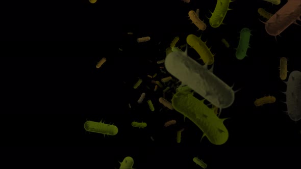 Realistic animation of viruses are moving