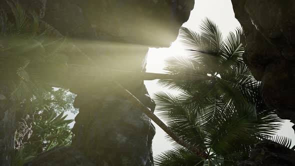 Vertical Shot of Tropical Cave at Sunset