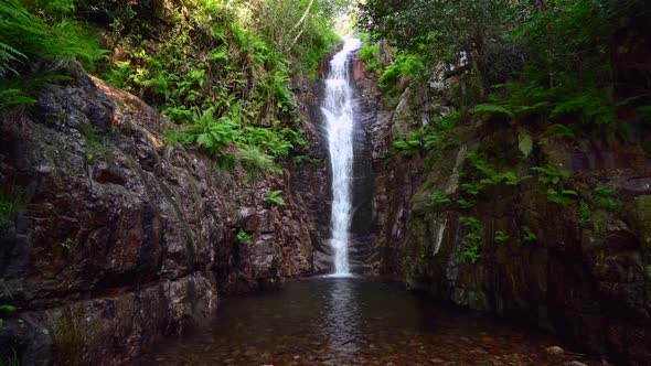 Close-up of a waterfall in the middle of a forest