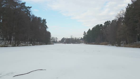 Frozen Lake Forest