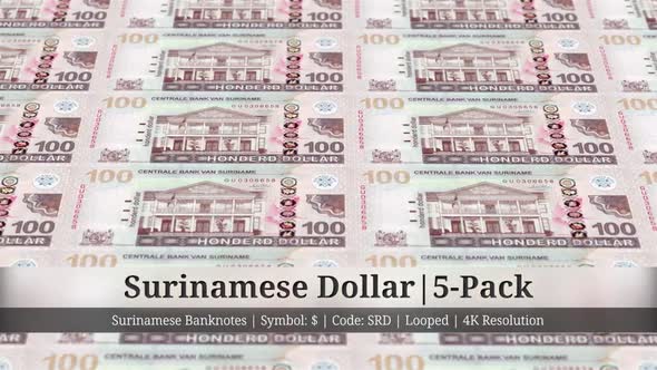 Surinamese Dollar | Suriname Currency - 5 Pack | 4K Resolution | Looped