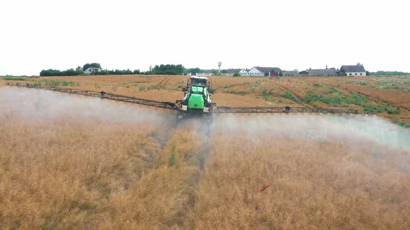 Farmer Tractor Sprays Fertilizer Over Field Of Growing Grain Rapeseed In Summer