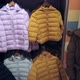 Winter Down Jackets of Different Colors - VideoHive Item for Sale