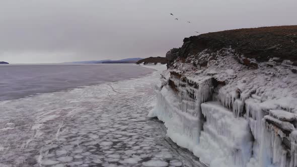 A Flock of Birds Flies Over the Frozen Lake