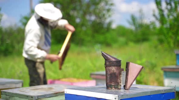 Chimney with smoke at apiary. Black smoker on blur background of beekeeper.