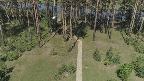 Aerial view of A path of stones among trees. Grass around the edges.18