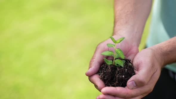 Holding Green Plant in Hands 71