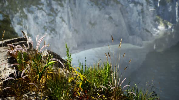 Fresh Grass at Big Rocky Cliff in Ocean