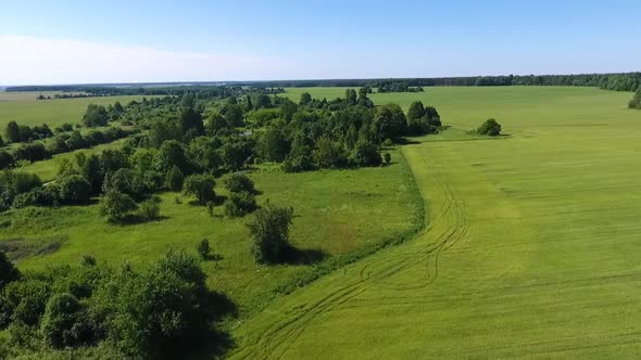 Drone Shot of Summer Field