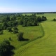 Drone Shot of Summer Field - VideoHive Item for Sale