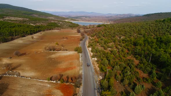 Autumn Road