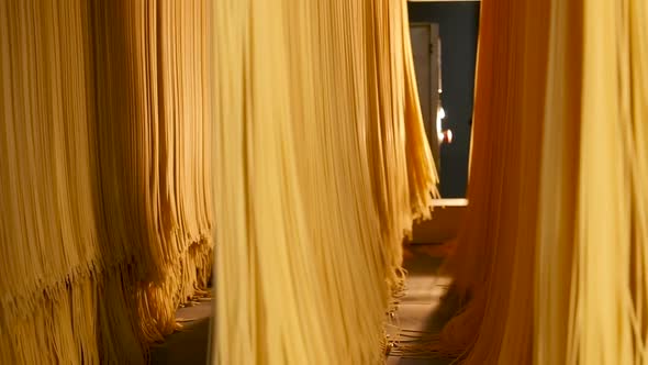 Production of Pasta on Production Line