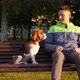Pensive dog sitting on bench near man, turn head and look to owner - VideoHive Item for Sale