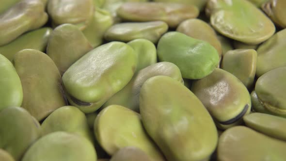 Fava (broad) beans close up. Dried legumes. Macro. Mediterranean cuisine