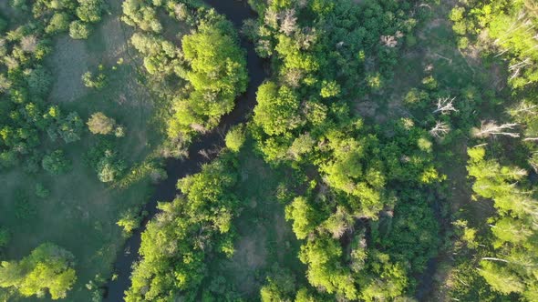 Wild River Aerial Drone Shot