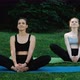 Two Girls on Yoga Mats in the Park in Butterfly Pose - VideoHive Item for Sale