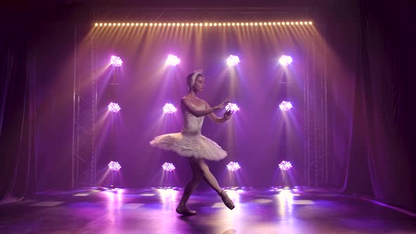 Graceful Ballerina Dancing White Swan Part. Dancing of Elements Classical Ballet. Shot in a Dark