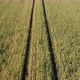 Tractor Traces In The Field - VideoHive Item for Sale