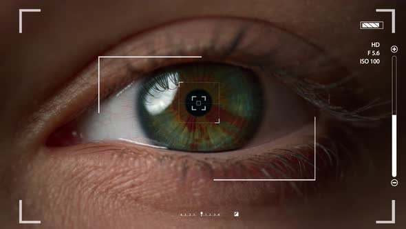 Macro Eye Recognition System Checking User Retina Taking Shot Verifying