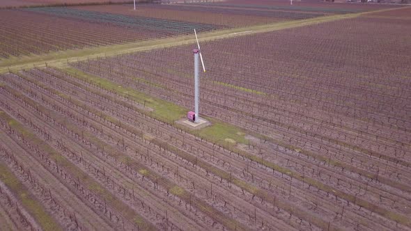 Aerial flying over a vineyard in early spring.