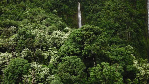 Aerial footage of mountain, rainforest and Waimoku Falls, Maui, Hawaii, USA