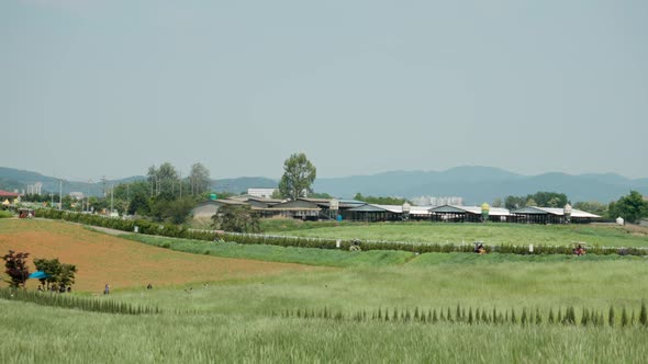 Panorama Of Anseong Farmland With Tourists Riding Bicycle On A Sunny Day In South Korea. - wide stat