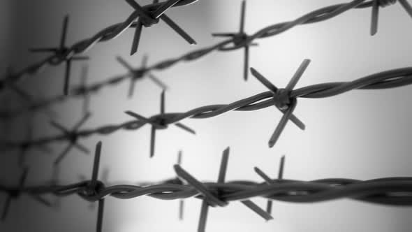 A horizontal motion animation of isolated sharp barbed wire. Loopable. HD