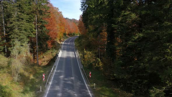 Flying Over The Empty Autumn Road 14