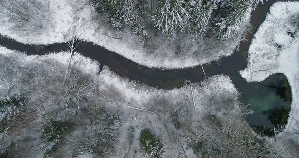 Water Springs and River in Snowy Forest in Winter Aerial Drone View