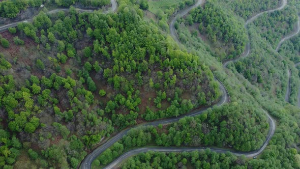 Aerial Shot Of The Winding Mountain Road Between The Trees