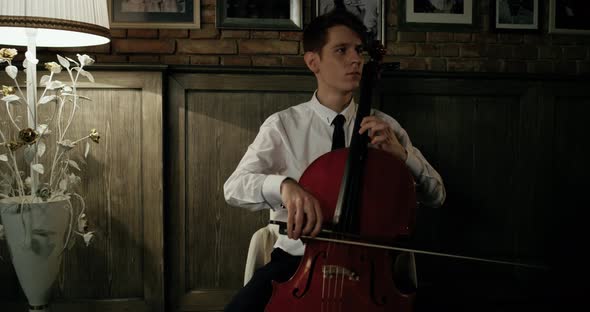 Violinist Plays Beautifully At The Romantic Diner