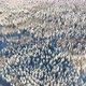 Drone Shot Frozen Snowy Forest at Sunny Winter Day - VideoHive Item for Sale
