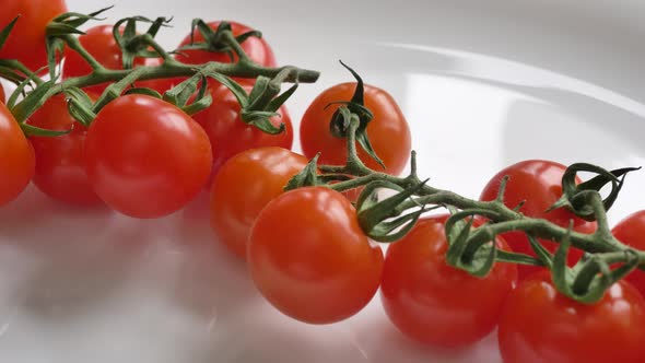 Motion Along Clean Fresh Red Grown Tomatoes on Branch